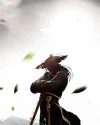 武道烙印:我的功法能自动修炼